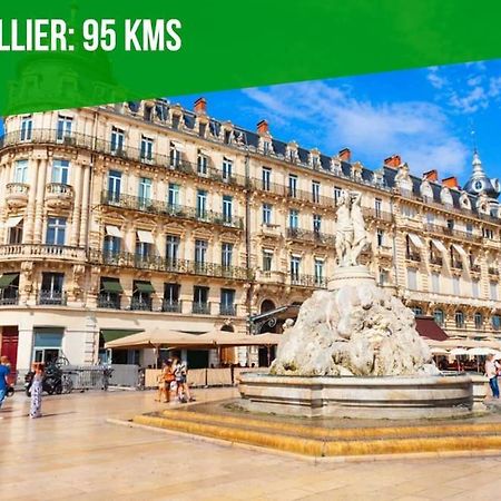 La Bulle - Parking Gratuit En Souterrain - 2 Mins Du Palais Des Papes - Clim Ac - Wifi Apartment Авиньон Екстериор снимка